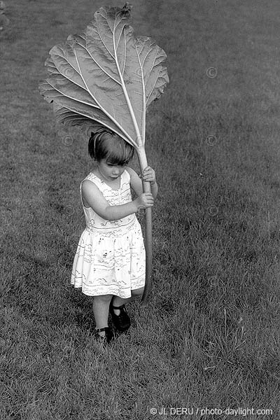 petite fille avec une rhubarbe - little girl with a rhubarb